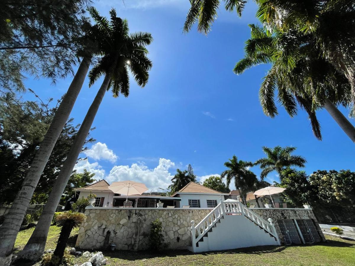 The Lodge @ Peaceful Palms Montego Bay Eksteriør billede