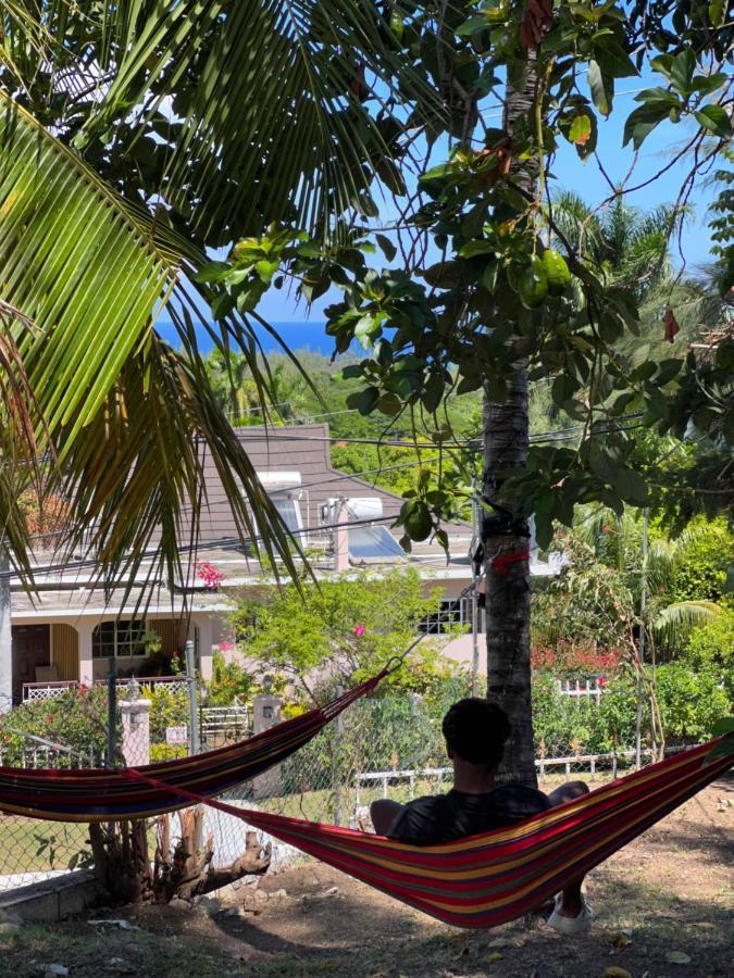 The Lodge @ Peaceful Palms Montego Bay Eksteriør billede