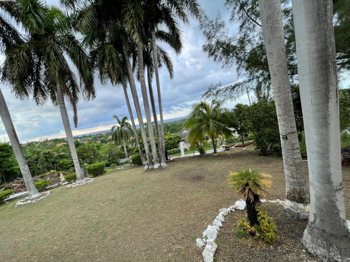 The Lodge @ Peaceful Palms Montego Bay Eksteriør billede