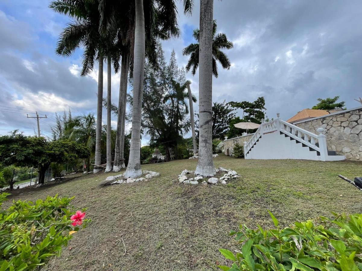 The Lodge @ Peaceful Palms Montego Bay Eksteriør billede
